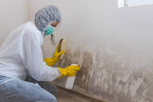 Best Crawl Space Mold Removal  in Blair, WI