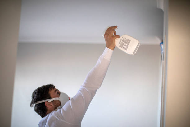 Best Mold Removal and Inspection  in Blair, WI